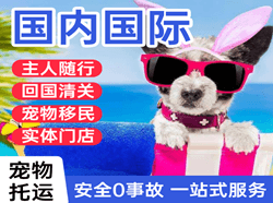 锦州锦州湾机场快递国际宠物托运 【国
